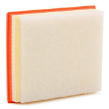 FILTRON Air Filter - Compatible with Peugeot Rifter 1.6 Bluehdi — Air & Cabin Filters