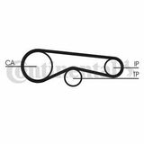 Continental CTAM CT1094 Pump Belt - Fits VW Touareg, Audi A4 & A6 — Timing