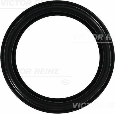 Victor Reinz Head Gasket - Compatible with Fiat Bravo & Marea 2.0 20V — Gaskets & Seals