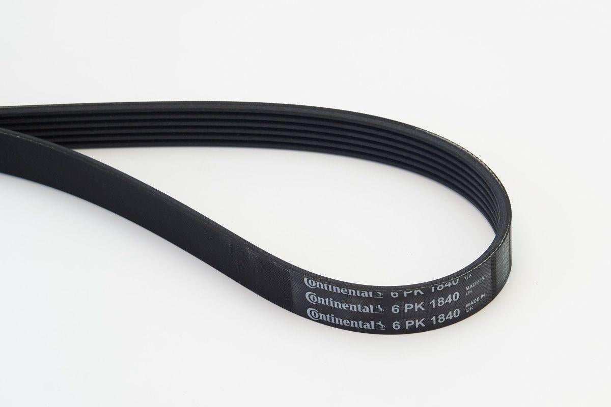 CONTINENTAL CTAM 6PK1840 BMW V-Belt E87.E90.118D.120D.320D 11287790450 V-Ribbed Belt Toyota Corolla — Belts