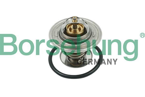 Borsehung B13141 Thermostat (87C) (Tx1587d) A3-A4-A6-Bora-Caddy II — Water Pump & Thermostat