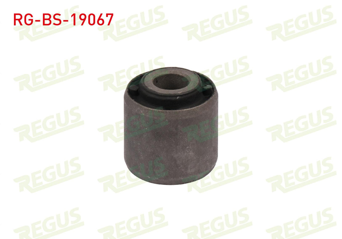 REGUS RG-BS-19067 Denge Arm Bushing Rear Left-Right Ford Focus I (Daw,Dbw) 1.4i 16V 1998-2004 — Bushings & Mounts