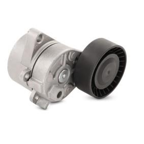 Aspart 8TLV1043 Tensioner Housing E34 / 36 / 38 / 39 / 46 M-50 / 52 / 54 — Pulleys & Tensioners