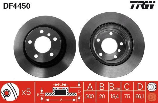 TRW BMW Disc Brake Set - Rear Brake Rotors for E87, E90, F30 — Brake Rotors & Drums