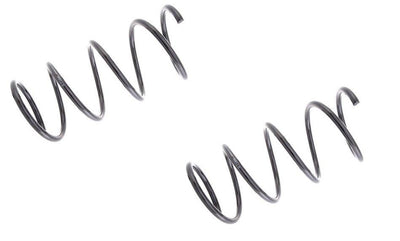 Lesjöfors 4056867 Mercedes W245 B160 Front Coil Spring Set W169 245 04-12 Set — Springs