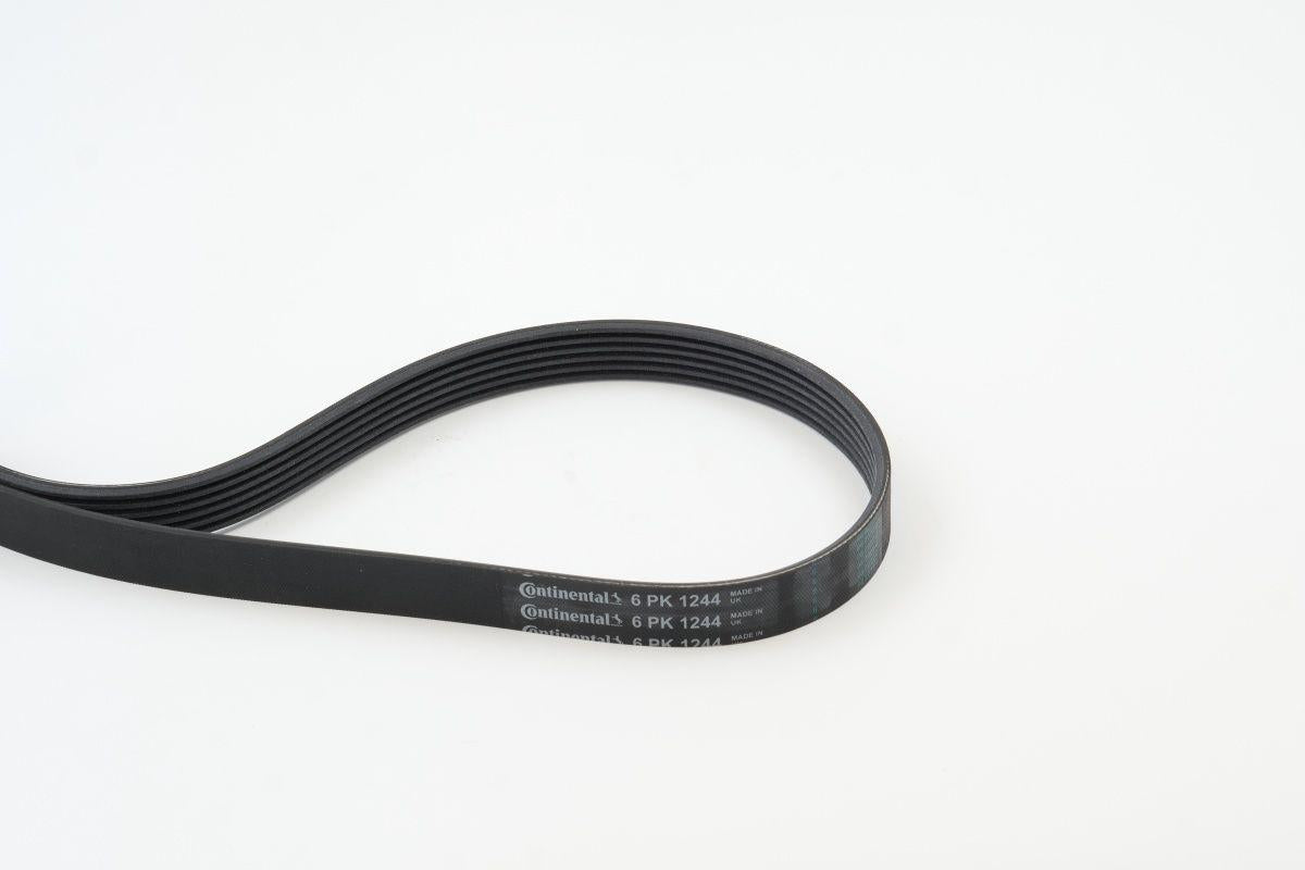 CONTINENTAL CTAM 6PK1244 V-Ribbed Belt Astra J A17dtj / A17dtr 1.7Cdti 09= > C4-C5-P3008-P407-P5008 2.0 HDi 09= > — Belts