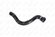 ibhas radiator bottom hose opel insignia, opel insignia radiator hose installation, ibhas radiator hose specifications IBRAS Radiator Bottom Hose - High Quality for Opel Insignia A 2.0 CDTI | 350g IBRAS Radiator Bottom Hose for Opel Insignia A ibhas, radiator-bottom-hose, opel-insignia, automotive-parts, car-maintenance, mechanics, replacement-parts, car-owners, radiator-hose, ai-generated
