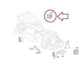 FEBI BILSTEIN Engine Mount - Fits Mercedes B Series W245 — Mounts