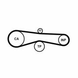 CONTINENTAL CTAM CT1131 Timing Belt - Fits Touareg 3.0 TDI — Belts