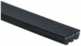 GATES 3PK828 V Belt - 95 Megane R19 Compatible — Belts