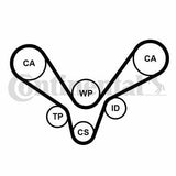 Continental Timing Belt CTAM CT1015 - Compatible with 1999-2006 Passat 2.5 TDI — Belts