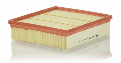 MANN Air Filter C22039 - Premium Air Filter for 15-L200 2.4 4Wd — Air & Cabin Filters
