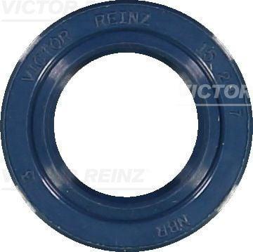 Victor Reinz Oil Seal - VW Audi Compatible — Gaskets & Seals