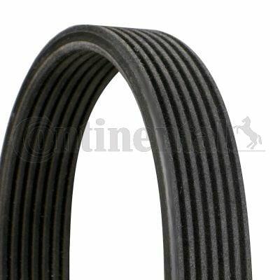 Continental CTAM 7DPK2074 V-Belt - Superior Quality for 02-Touareg, Q7, Cayenne 3.2 V6 — Belts