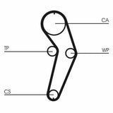 CONTINENTAL CTAM CT988 Timing Belt - Compatible with Kangoo, Clio and 3 more models — Belts