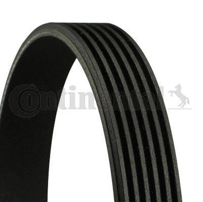 CONTINENTAL CTAM 6PK1973 V-Belt - Replacement for Ford Focus, Mondeo, and Transit — Belts