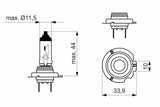 BOSCH Pure Light H18 Automotive Bulbs - 12V 65W PY26d-1 — Gaskets & Seals